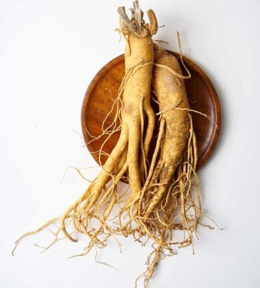 Fresh Wild Ginseng 60 Years