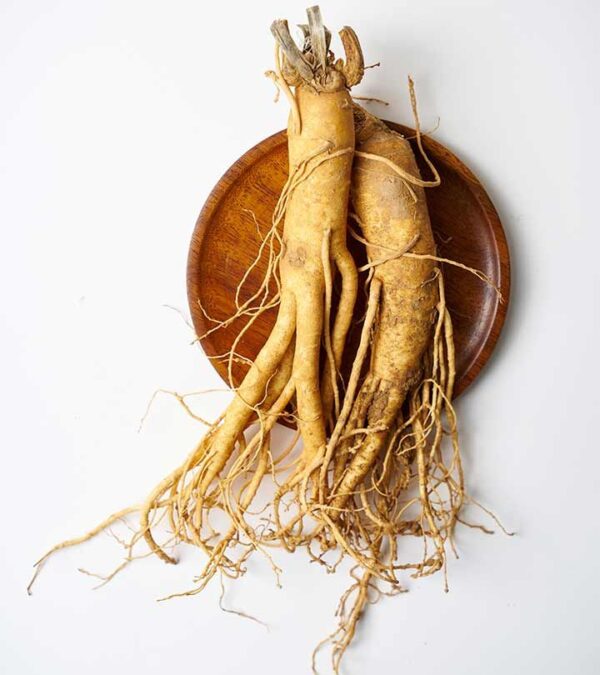 Fresh Wild Ginseng 60 Years