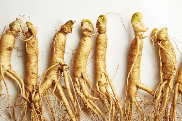 Fresh Wild Ginseng 100 Years